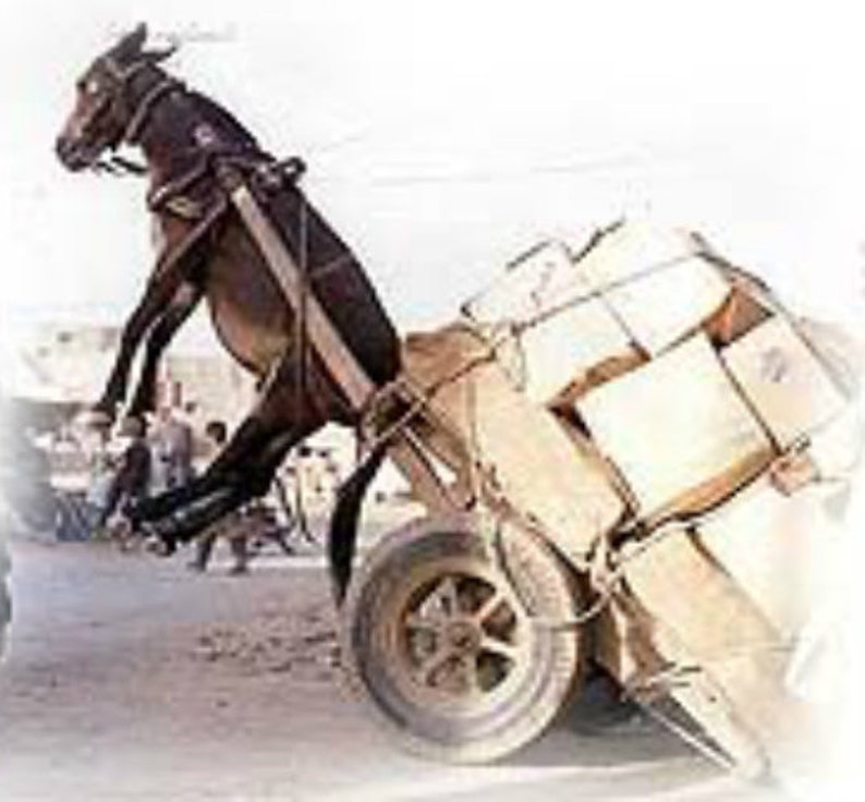 May include: A donkey pulling a cart loaded with boxes. The donkey is wearing a harness and is straining to pull the heavy load.