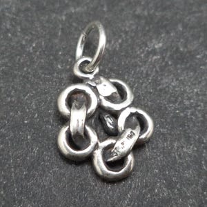 May include: A small, silver-colored charm pendant featuring a cluster of interconnected rings. The pendant has a loop at the top for attachment and is displayed against a dark, textured background. The design is simple and elegant.