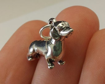 Dachshund Charm 2024 www.alhudapk