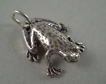 May include: A silver frog charm pendant with a detailed textured surface. The charm has a loop for attaching to a necklace or bracelet.
