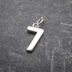 May include: Silver charm in the shape of the number seven. The charm has a loop at the top for attaching to a bracelet or necklace.