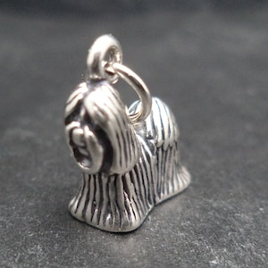 Abalorio de plata de ley con diseño de Shih Tzu en 3D para pulsera