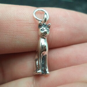 May include: Silver charm of a cat sitting with its tail curled around its legs. The charm has a loop at the top for attaching to a necklace or bracelet.