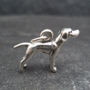 Può includere: Ciondolo in argento a forma di Bracco tedesco a pelo corto. Il ciondolo è dettagliato e realistico, con una finitura testurizzata. Il cane è in piedi con la testa girata di lato, con un'espressione vigile.