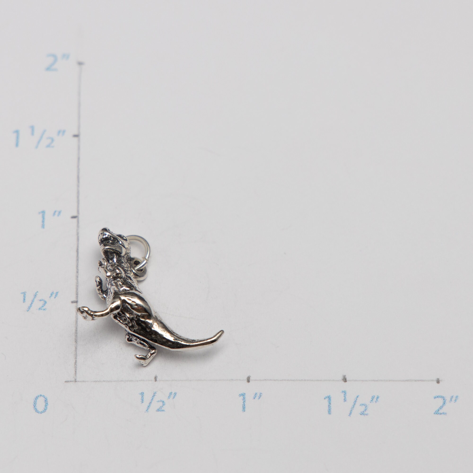 Ciondolo in argento sterling a forma di dinosauro T-Rex Ciondolo in argento sterling a forma di dinosauro T-Rex