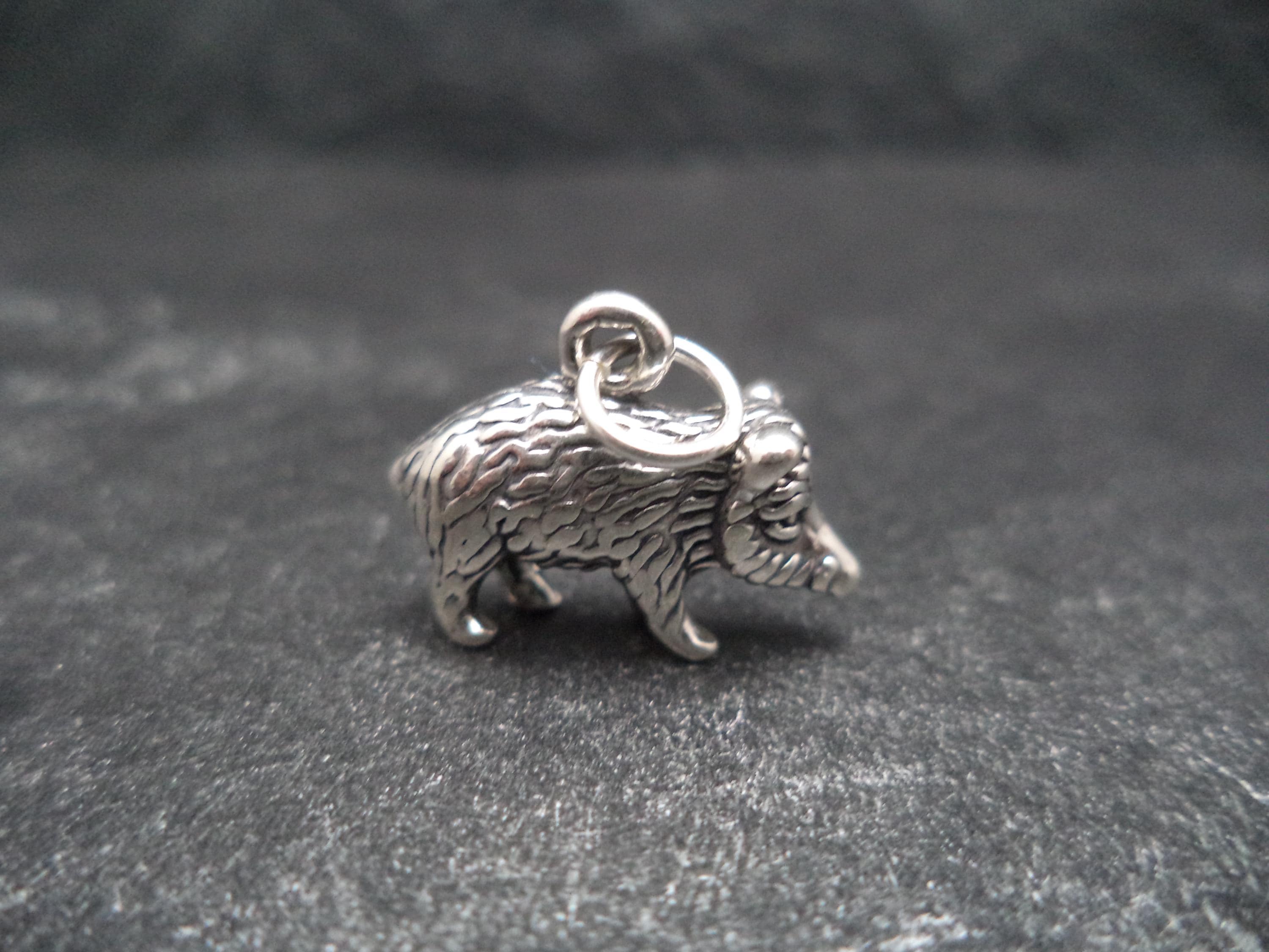 STERLING SILVER 3D Javelina Charm for Charm Bracelet. - Etsy