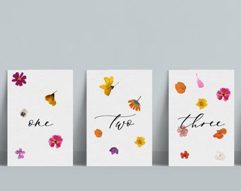 INSTANT | Table Numbers | Floating Petals | Editable File | Printable | 5" x 7"