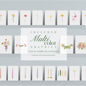 Puede incluir: Una colecci&oacute;n de gr&aacute;ficos florales en acuarela, que incluyen flores y arreglos individuales, mostrados en tarjetas blancas. La imagen incluye el texto "INCLUDED Multi COLOR GRAPHICS". La paleta de colores presenta rosa, amarillo, naranja y morado.