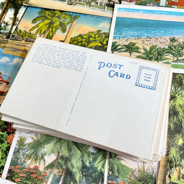 Florida Postcard - Etsy