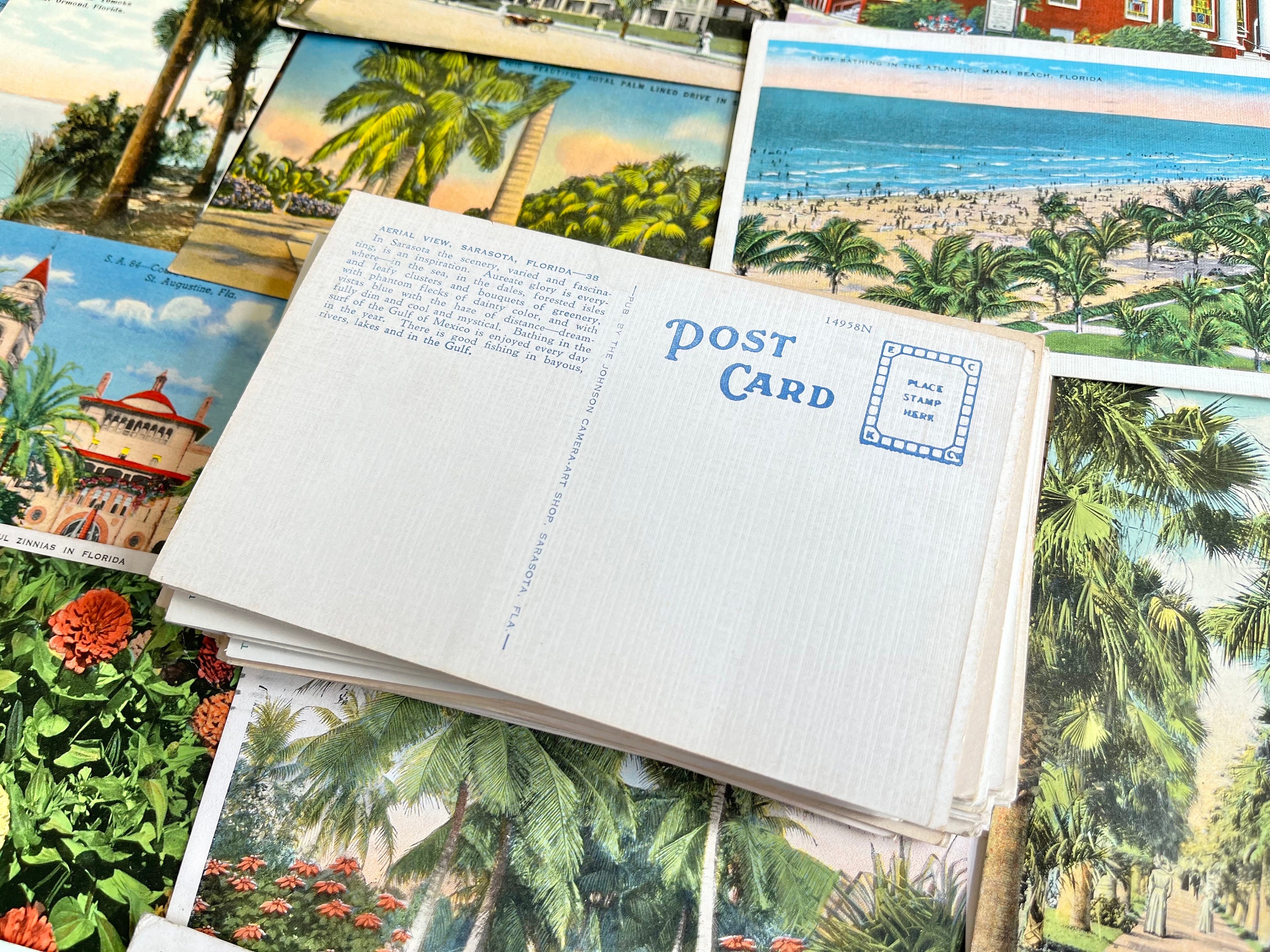 Hello from Miami FLORIDA Vintage Chrome Postcard