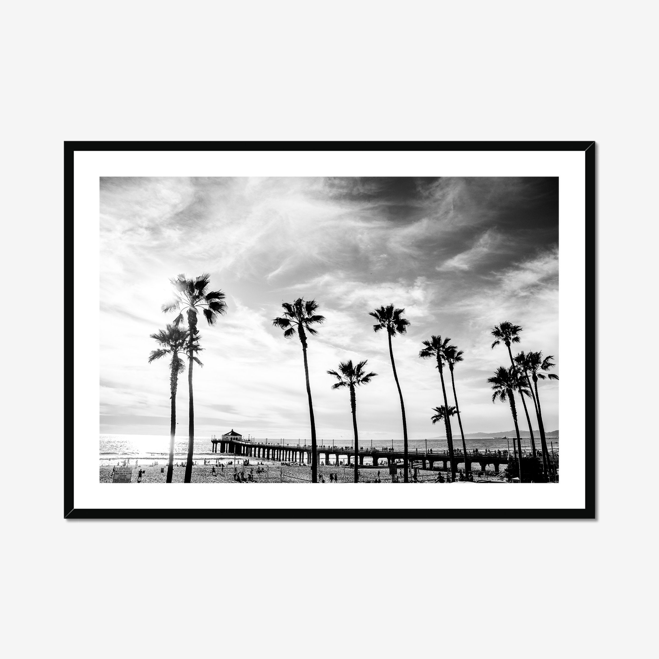 Fotografia de palmeira da Califórnia, arte de parede, arte monocromática, decoração elegante para casa, tema costeiro, arte de parede, impressão de belas artes em preto e branco para escritório