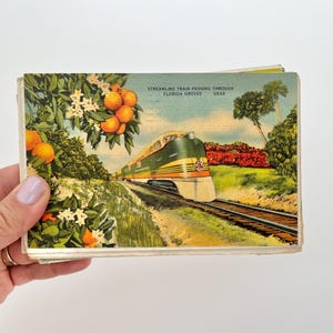 Florida Postkarten Set 10 Vintage Postkarten aus Florida für Grußkarten Hochzeiten Save the Date Miami Wohnkultur Einzigartiges Geschenk aus Florida
