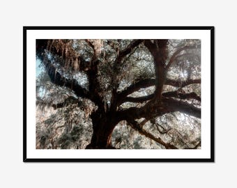 • USA Travel Prints