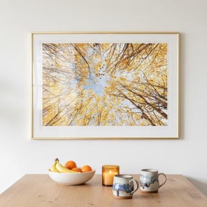 Foto de árbol rústico, arte de pared para cocina, hojas amarillas, copa de árbol, DESCARGA DIGITAL, arte de pared de naturaleza imprimible al instante para casa de huéspedes, bosque bohemio