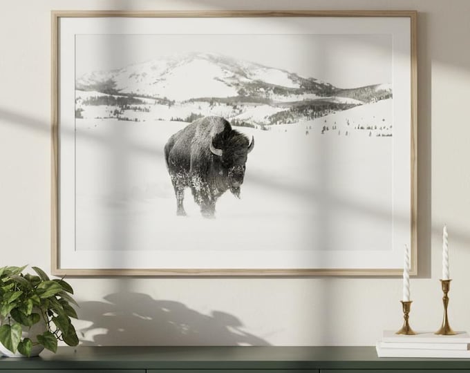 • National Park Photos