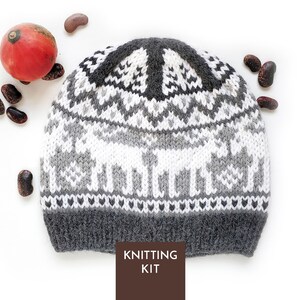 Può includere: Un berretto lavorato a maglia con un motivo bianco, grigio e antracite di renne e forme geometriche. Il cappello presenta un bordo a coste color antracite e una corona con un motivo a stella. Un'etichetta rettangolare marrone riporta KNITTING KIT.