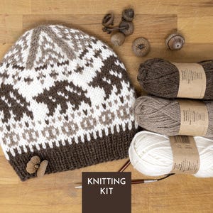Può includere: Un berretto lavorato a maglia con un motivo a orsi nei colori marrone, bianco e beige, accompagnato da tre gomitoli di lana in colori coordinati, diverse piccole ghiande e un ferro da maglia. Il testo KNITTING KIT è in un riquadro marrone.