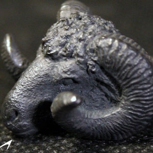 Bague tête de bélier « Ammon »