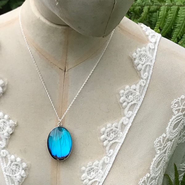 Real Blue Morpho Butterfly Wing Reversible Pendant Necklace Sterling Silver Chain. Nature's Reliquaries Collection