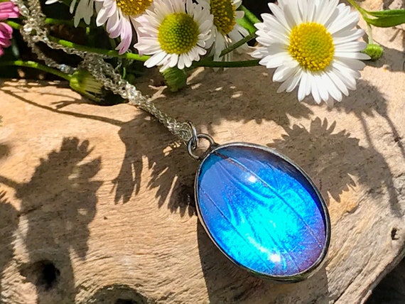 Real Blue Butterfly Wing Pendant Necklace on a Sterling Silver Chain Butterfly Jewellery Reversible Necklace Etsy UK