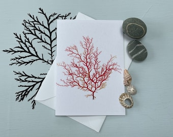 Pressed Pink Irish Seaweed Art Card, Botanical Blank Note