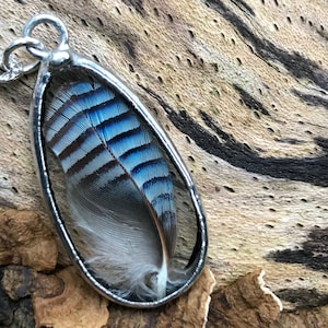 Small Blue Jay Feather Pendant, Real Feather Necklace on a Sterling Silver Rope Chain, Nature Lover Gift.