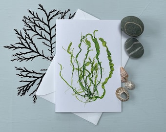 Irish Seaweed Art Greeting Card, Blank Note Card