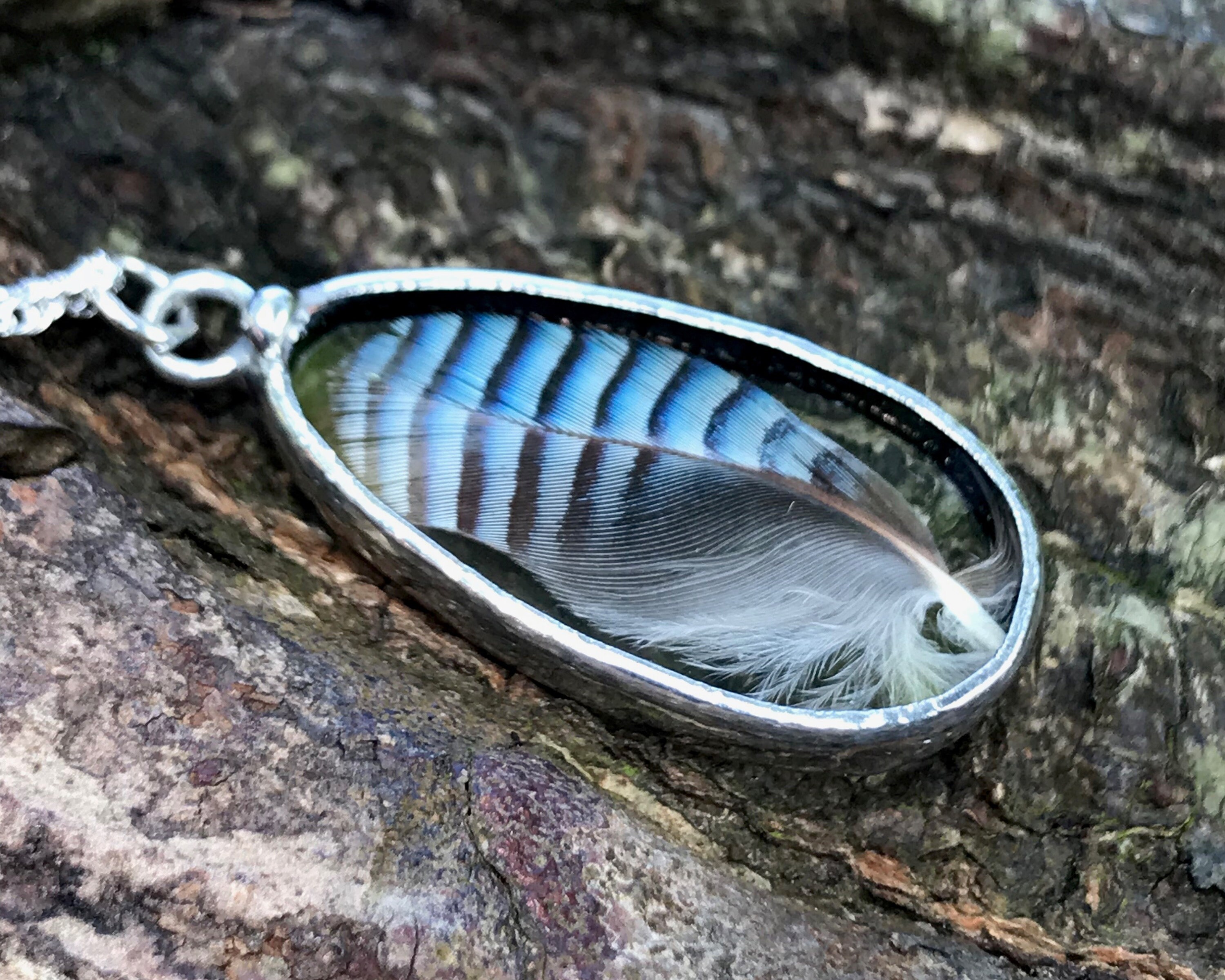 Blue jay feather necklace sale