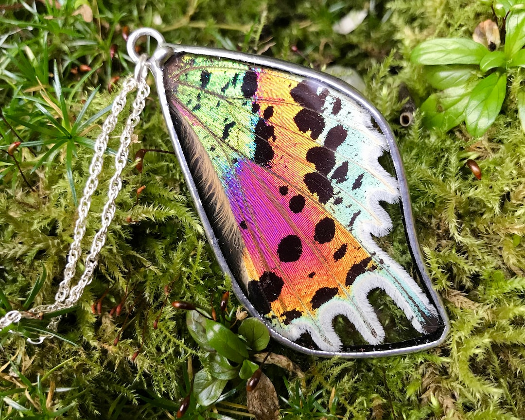 Moth Chain Real Sunset Moth Wing Pendant Necklace, Reversible, Sterling Silver ...