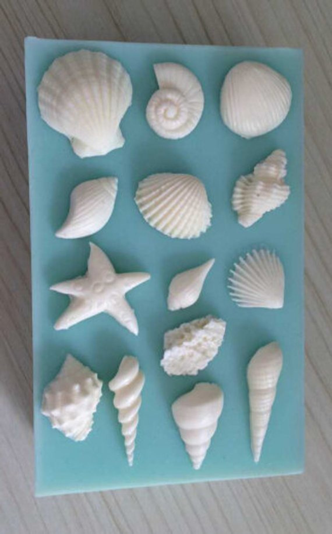 Seashell Silicone Mold Sea Shell Mold Etsy