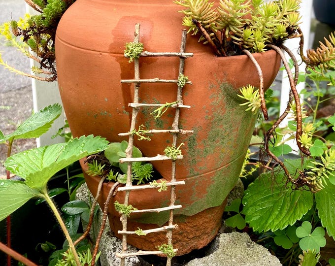 FAIRY Moss LADDER- 7 1/2