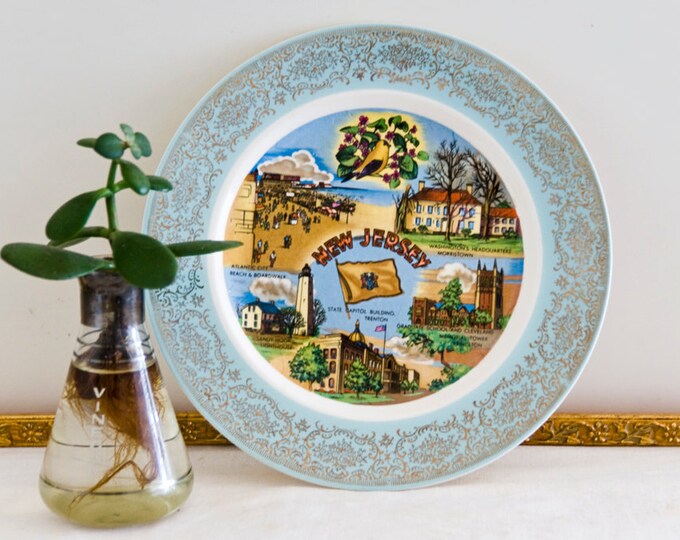New Jersey Souvenir Plate for Desserts Salads Garden State Etsy
