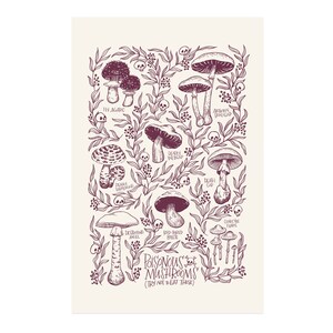 Poisonous Mushrooms Print