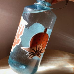 May include: A blue reusable water bottle with a white lid and a brown and orange sticker of a plant with a sun and stars on it.