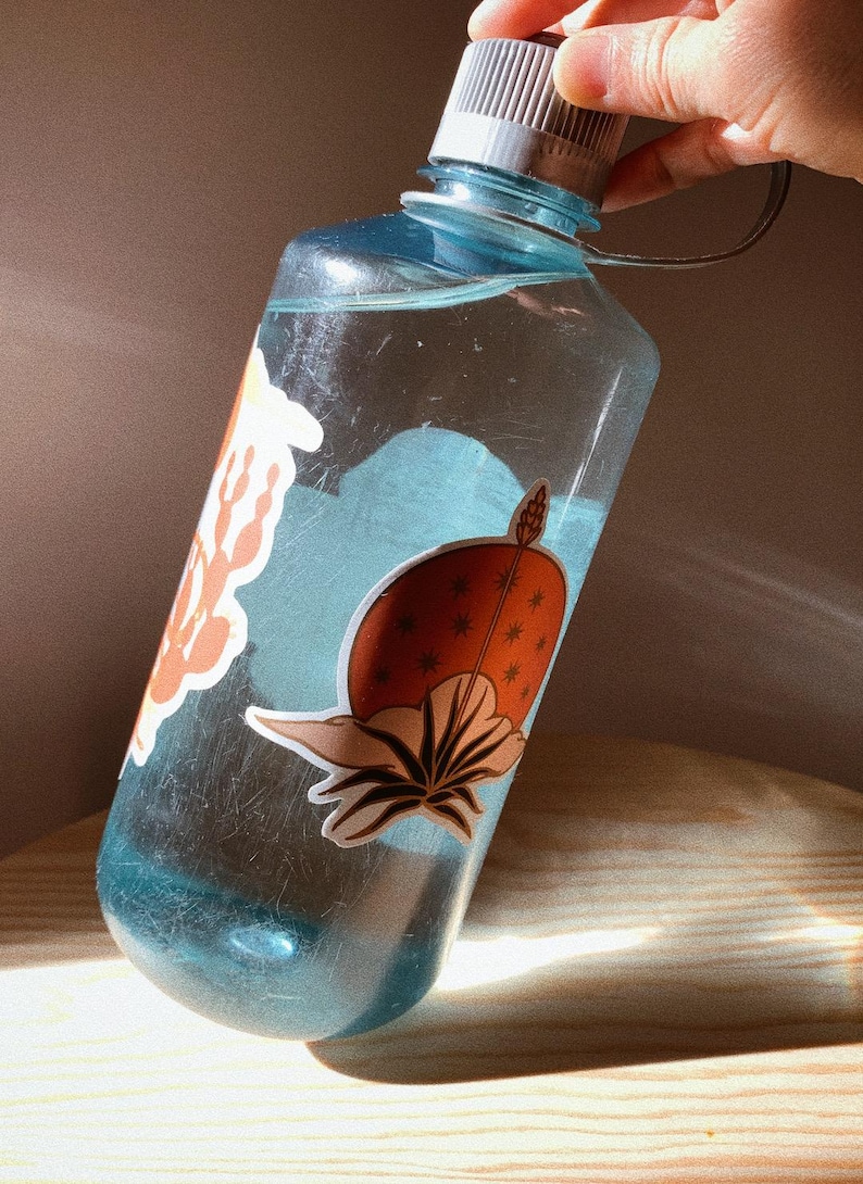 May include: A blue reusable water bottle with a white lid and a brown and orange sticker of a plant with a sun and stars on it.