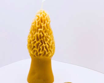 3 Beeswax Morel Mushrooms