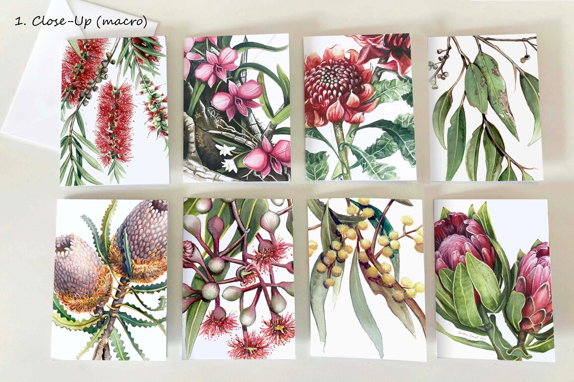 Botanical Greeting Cards Pack of 8 Etsy