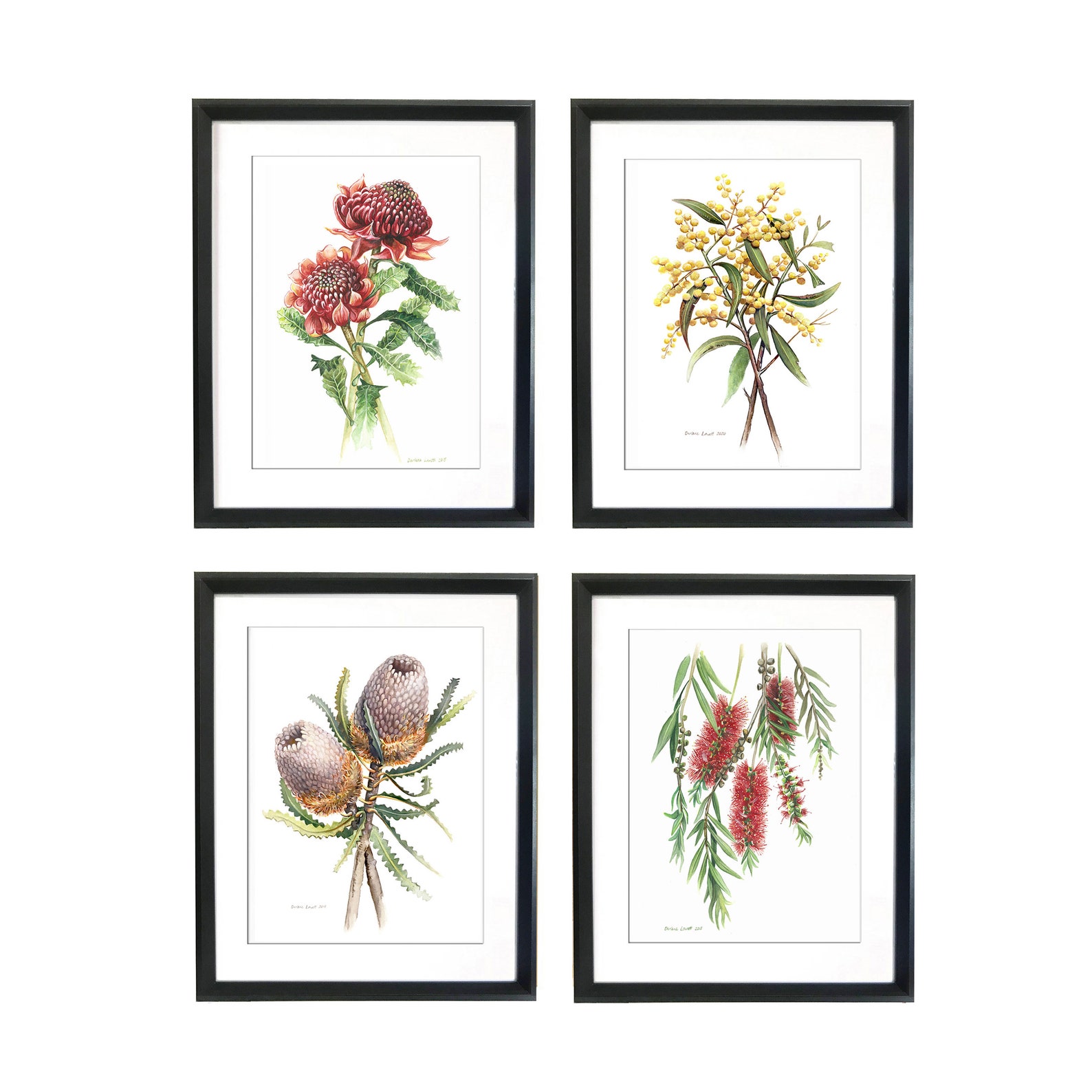 4 X Framed Fine Art Prints by Darlene Lavett Etsy Australia