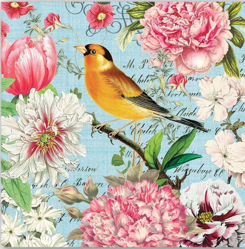 May include: A vintage-style illustration featuring a yellow bird perched on a branch with pink and white flowers. The background is a light blue with a handwritten script.