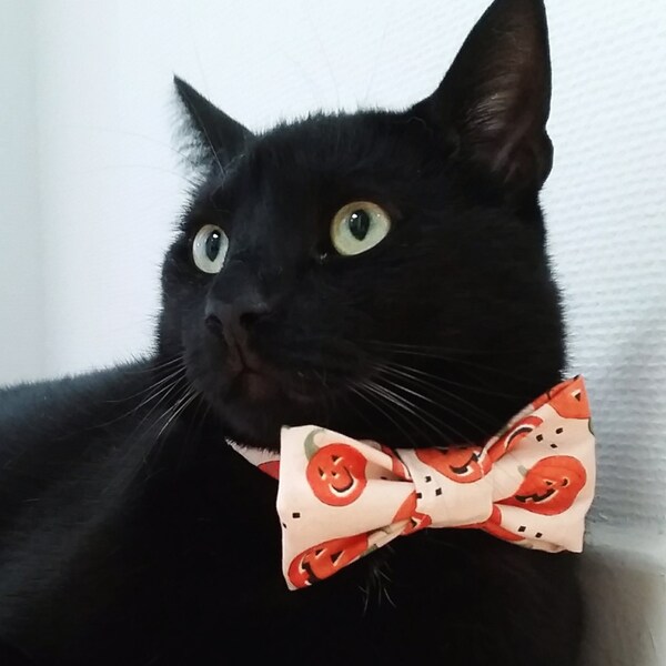 Cat Bow Tie Collar - Halloween - "Pumpkin" - Safety Buckle/Breakaway - Cream/Orange