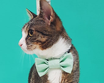 Katzenhalsband mit Fliege - "Mint" - Pastell - Sicherheitsverschluss - Sicheres Katzenhalsband - Süße Katzenfliege - Hochzeit/Frühling