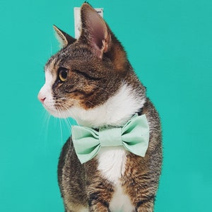 Cat Collar with Bow Tie -"Mint" - Safety Buckle/Breakaway - Pastel Cat Bow Tie Collar - Wedding Cat Bow Tie - Safe Cat Collar - Cute Cat Bow