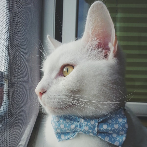 French Tulips Bow Tie Collar for Cats