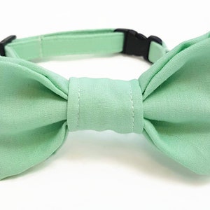 Katzenhalsband mit Fliege Mint Pastell Sicherheitsverschluss Sicheres Katzenhalsband Süße Katzenfliege Hochzeit/Frühling Bild 3