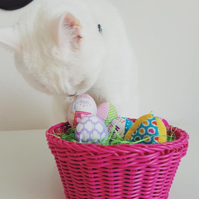 Catnip/Valerian Cat Toys Easter Eggs 6 Pack Set with Box Fun Cat Toys/Holiday Cat Toys/Fetch Toys Easter Cat Toys Gift for Cat image 9