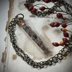 La bière de l'enchanteur. N° 44. Collier spécimen de bouteille d'herbes aromatiques avec fleurs d'origan séchées sur une chaîne finition dorée antique