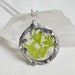 see more listings in the Pressed Flower Necklace section