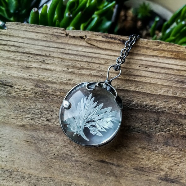 Dry Wormwood Necklace, Pressed Flower Necklace, Mindfulness Gift