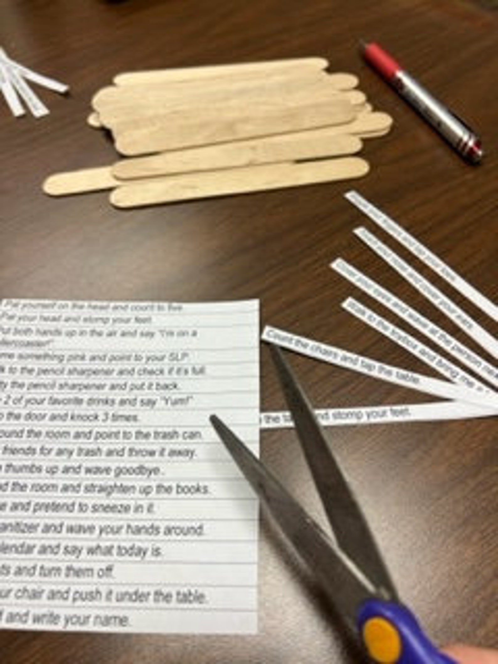 Following 2-step Directions (popsicle Sticks) - Etsy