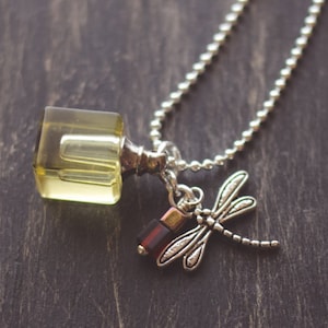 Könnte beinhalten: Eine silberne Kettenkette mit einem Anhänger aus klarem Glas in Flaschenform und einem silbernen Libellen-Anhänger. Die Flasche hat einen silbernen Verschluss und die Libelle hat einen roten und silbernen Akzent.